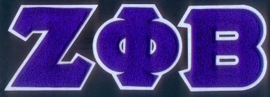 zeta patches - chenille letters 2.jpg